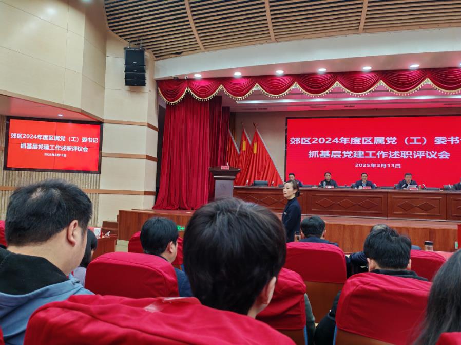 肖仁才同志参加郊区2024年度区属党（工）委书记抓基层党建工作述职评议会