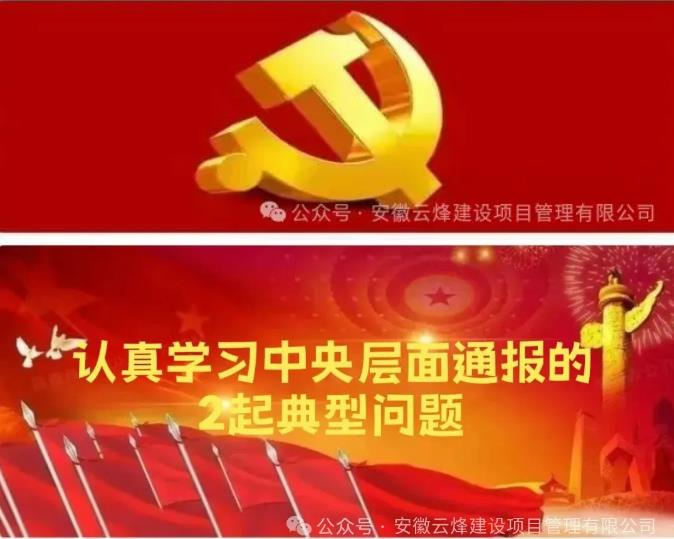 认真学习中央层面通报的2起典型问题