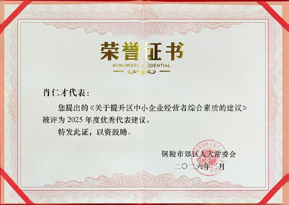 2025年度人大代表优秀建议